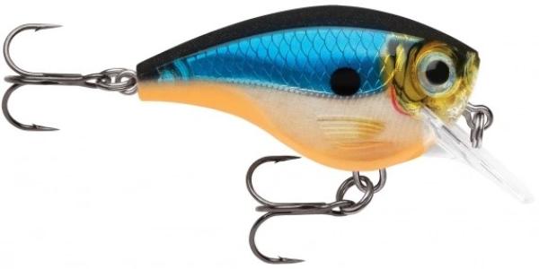 Rapala Xtreme BXB-5 mit  5cm 10g Floating